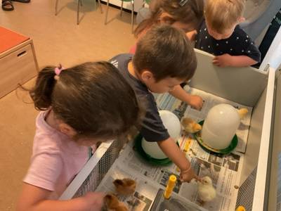 Quelle: Kita Don Bosco