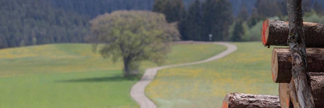 Quelle: Rzepka